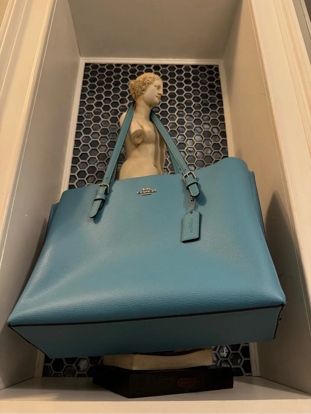 Coach Mollie Tote in Pebbled Leather – Blue with Green Large tote 1671